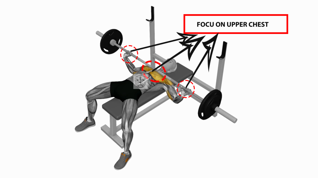 Barbell-Wide-Bench-Press
