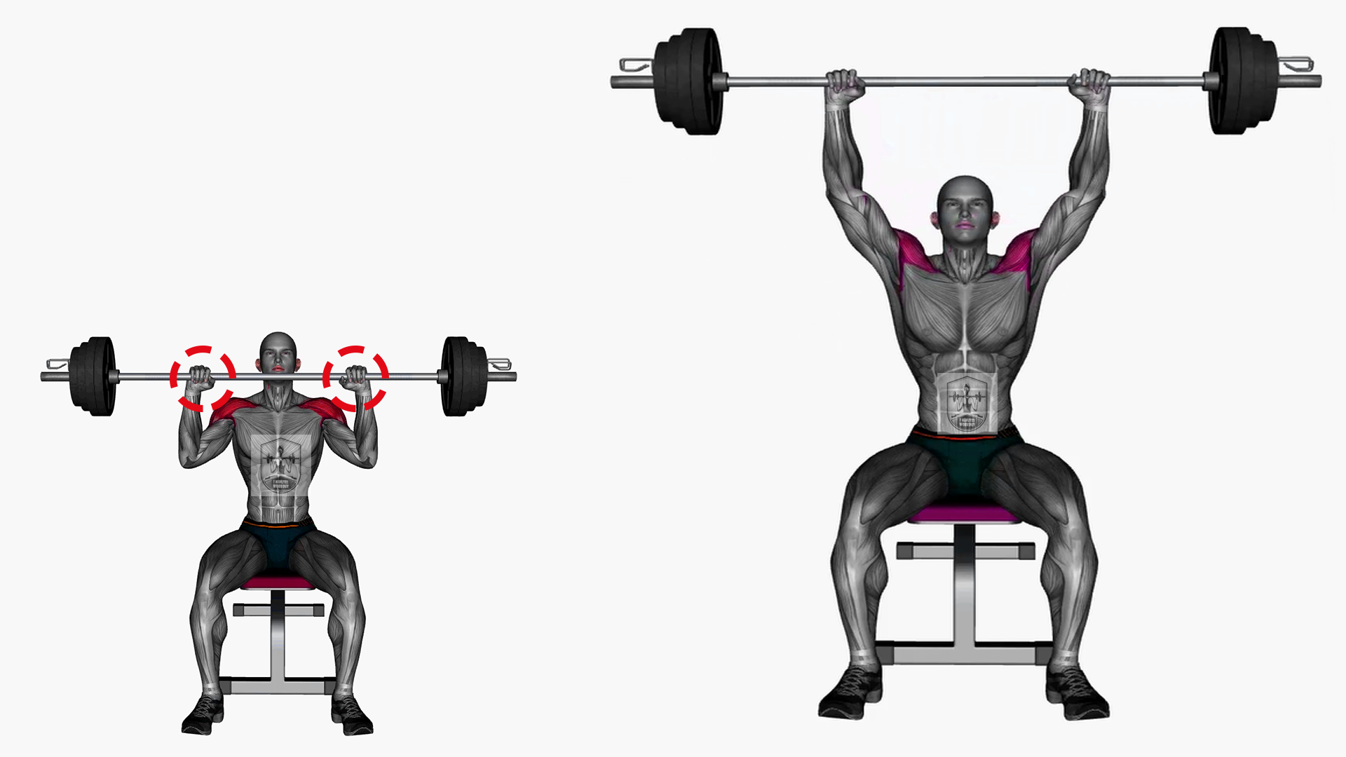 Seated-Military-Press-Barbell